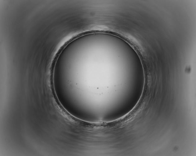 X0000100331326200806051525