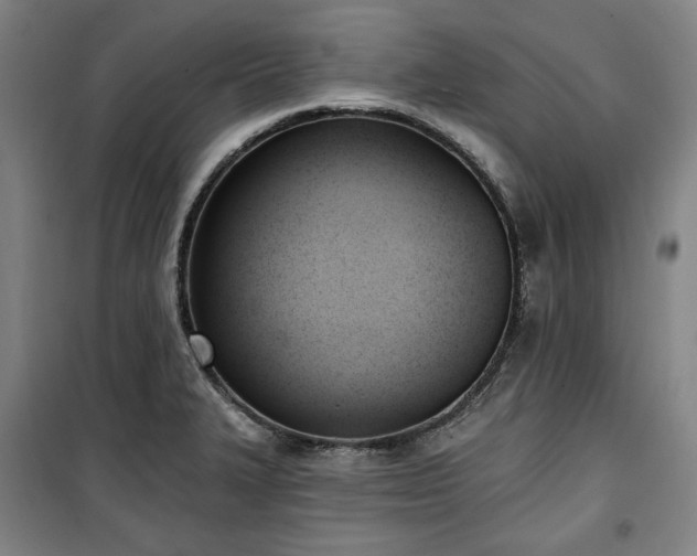 X0000100331327200806051525