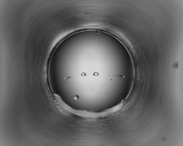 X0000100331328200806051525