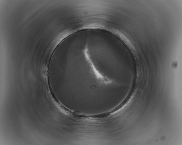X0000100331329200806051525