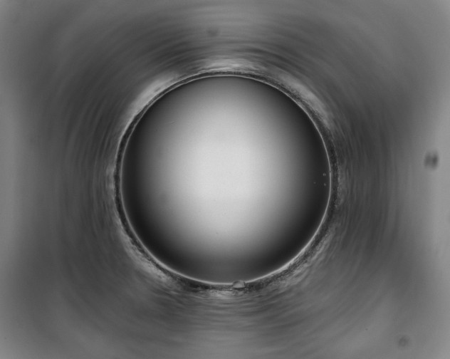 X0000100331330200806051525
