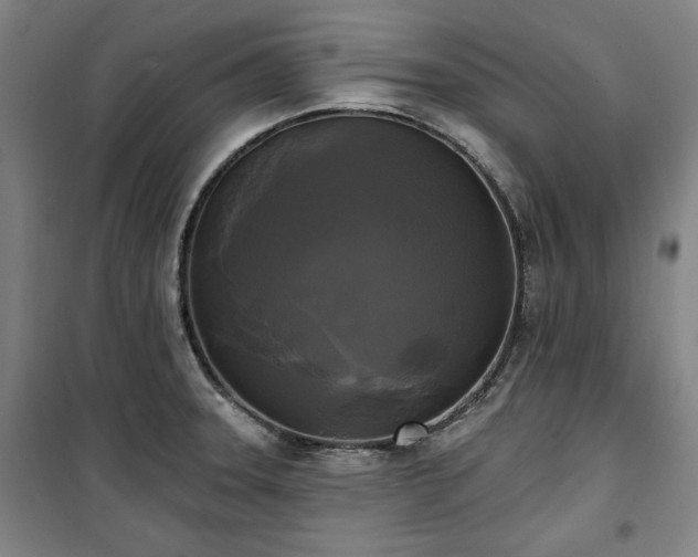 X0000100331331200806051525