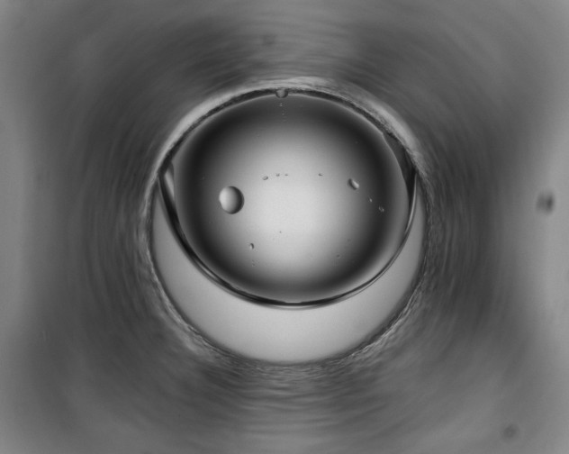 X0000100331332200806051525