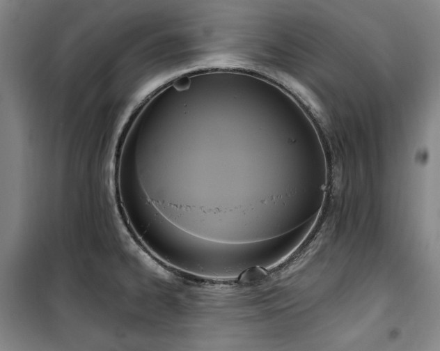 X0000100331334200806051525