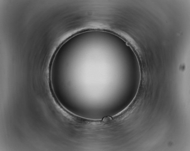X0000100331335200806051525