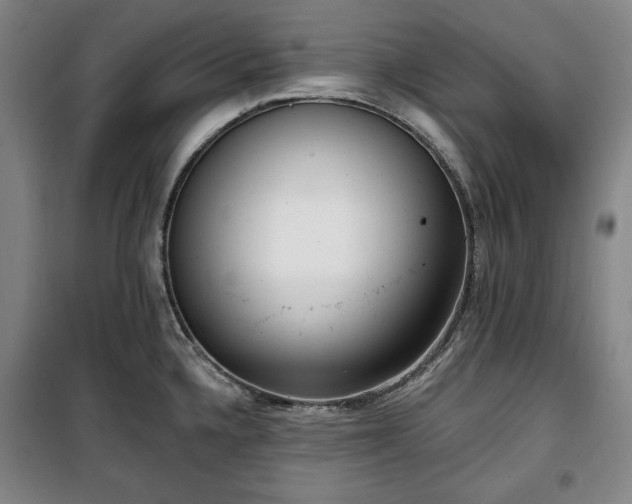 X0000100331336200806051525