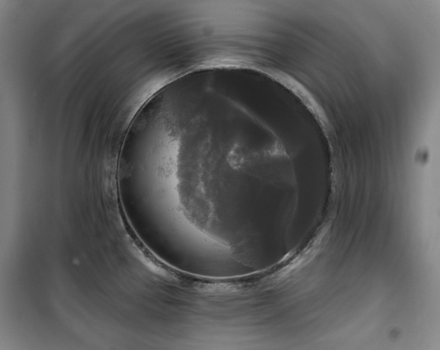 X0000100331337200806051525