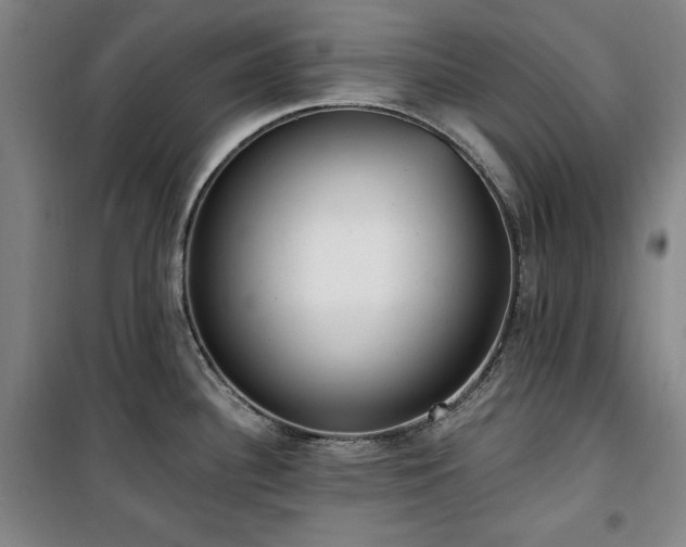 X0000100331340200806051525