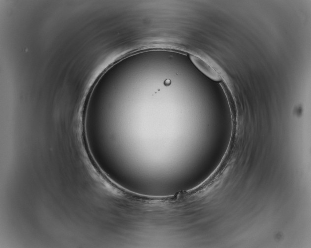 X0000100331341200806051525
