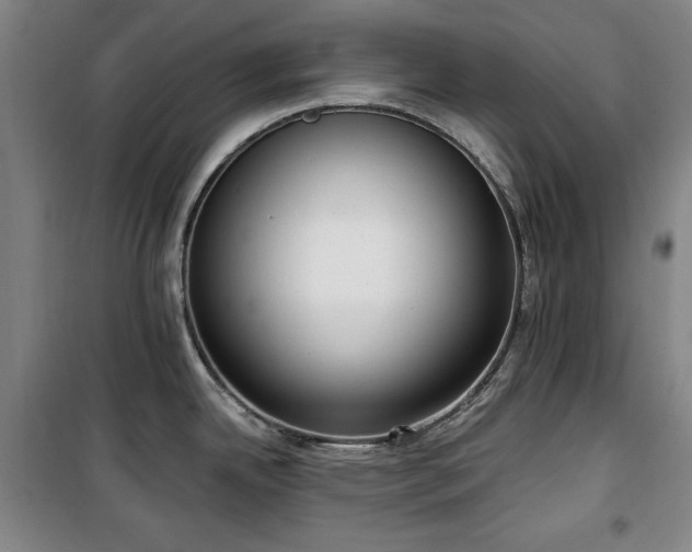 X0000100331342200806051525