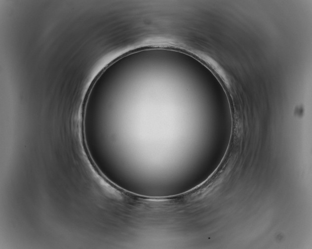 X0000100331343200806051525