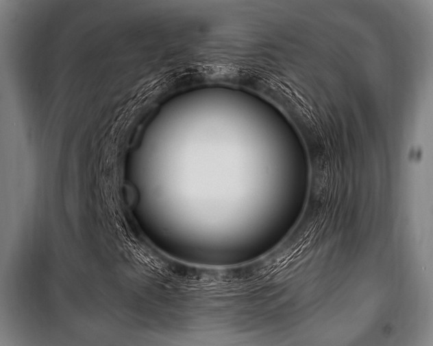 X0000100331345200806051524