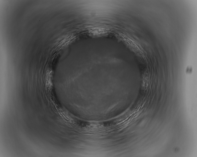 X0000100331346200806051524