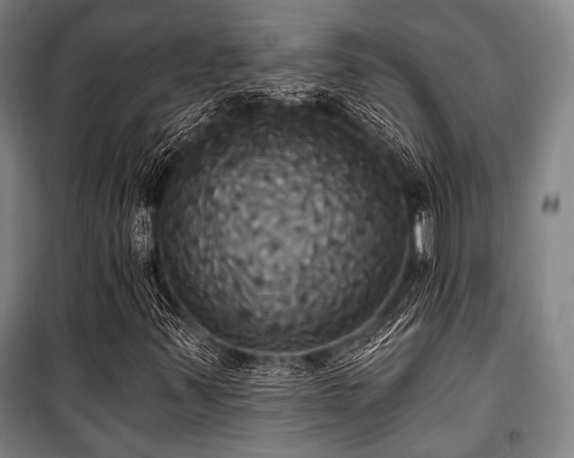 X0000100331347200806051524