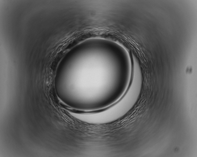 X0000100331349200806051524