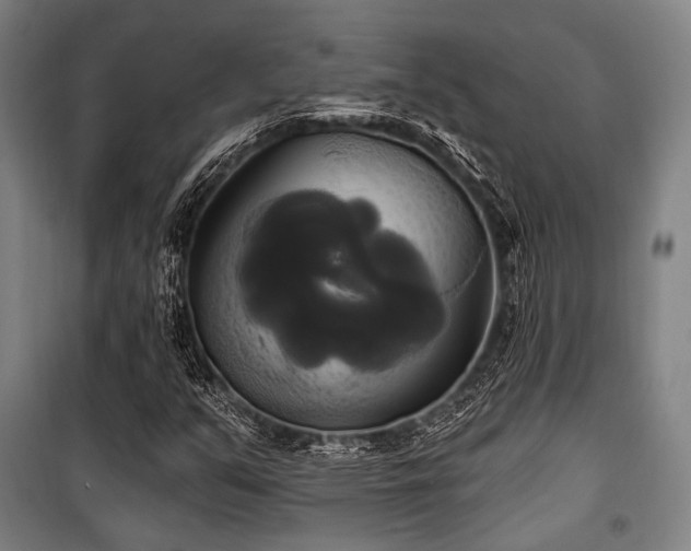 X0000100331351200806051524