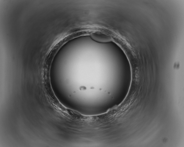 X0000100331352200806051524
