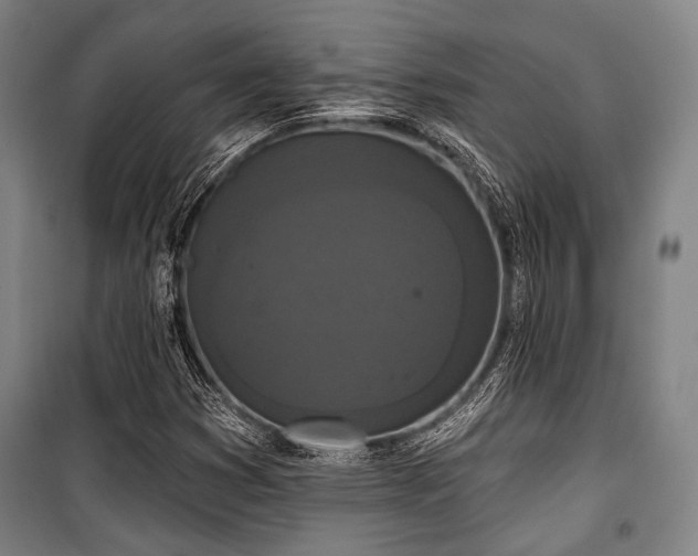 X0000100331353200806051524
