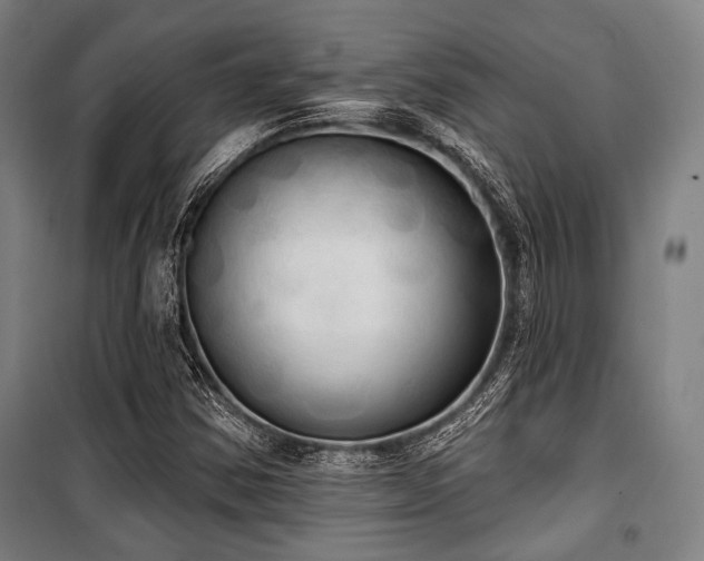 X0000100331354200806051524
