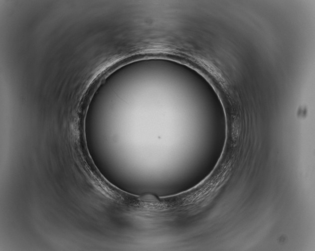 X0000100331356200806051524