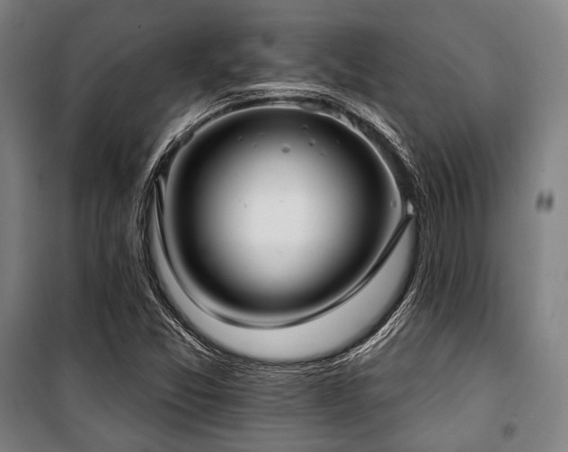 X0000100331357200806051524