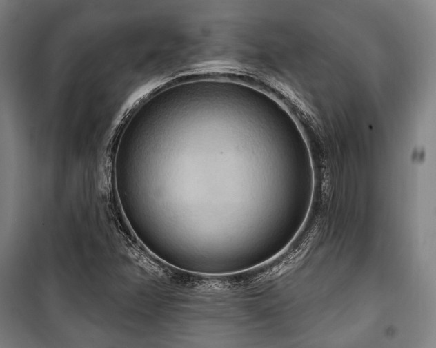 X0000100331358200806051524