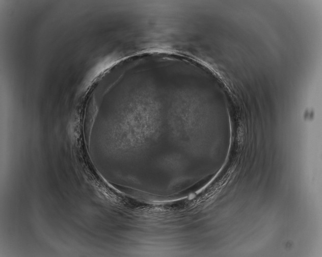 X0000100331359200806051524