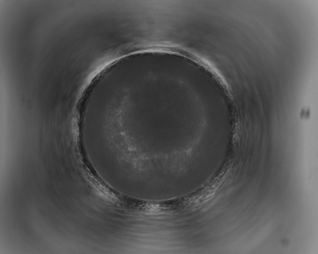 X0000100331360200806051524