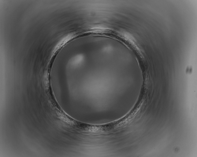 X0000100331362200806051524