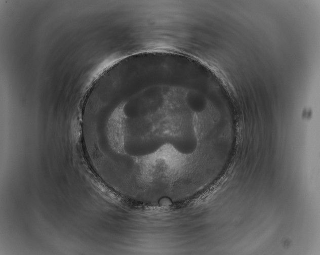 X0000100331363200806051524