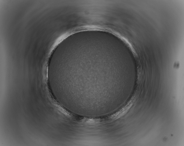 X0000100331365200806051524
