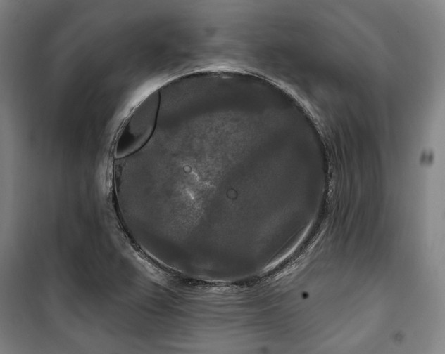 X0000100331367200806051524
