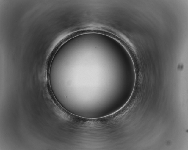 X0000100331368200806051524