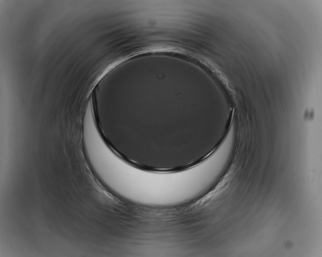 X0000100331369200806051524