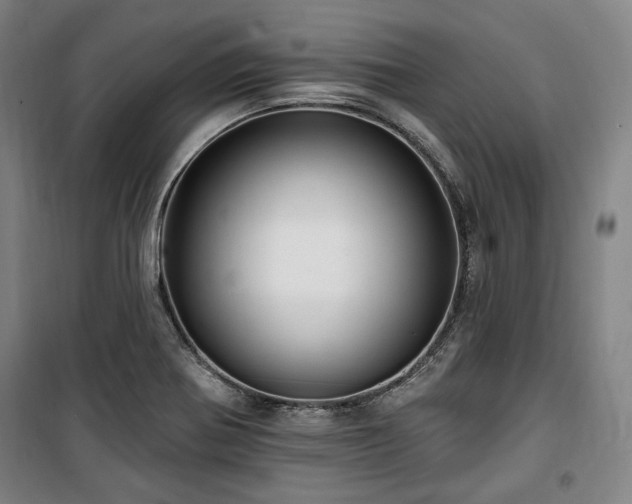 X0000100331370200806051524