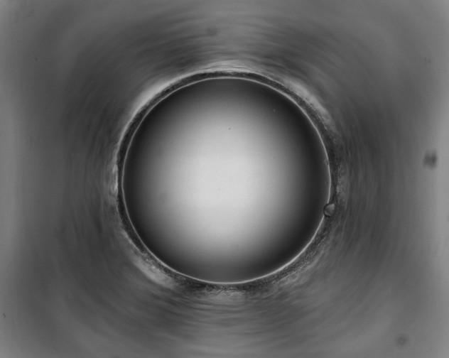X0000100331372200806051524