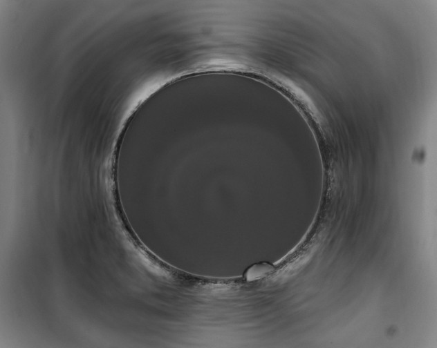 X0000100331373200806051524