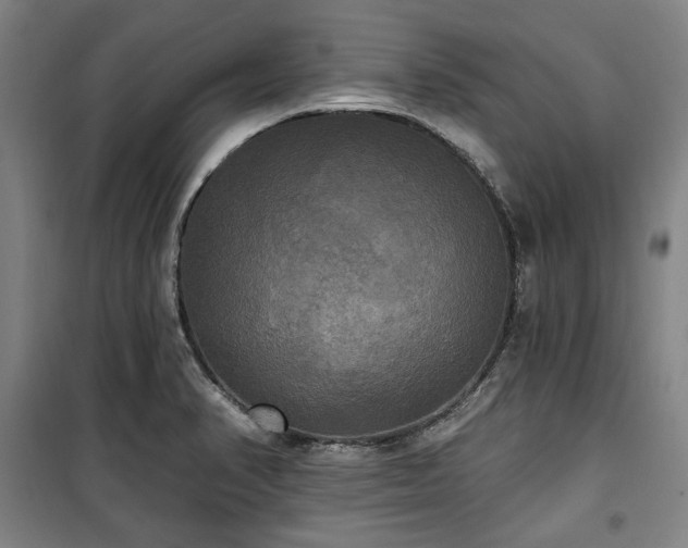 X0000100331374200806051524