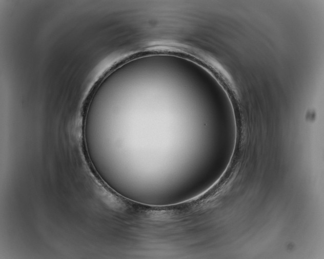 X0000100331376200806051524