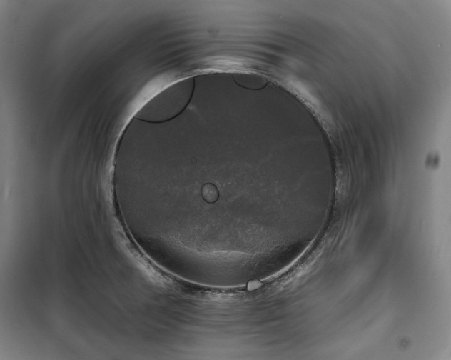 X0000100331378200806051524