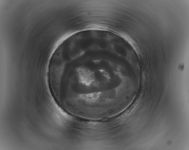 X0000100331379200806051524