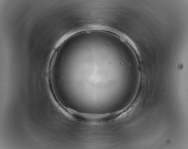 X0000100331381200806051524