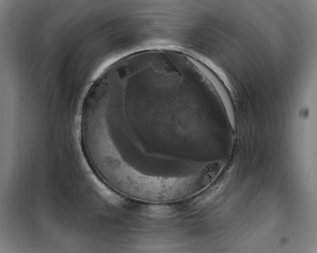 X0000100331383200806051524