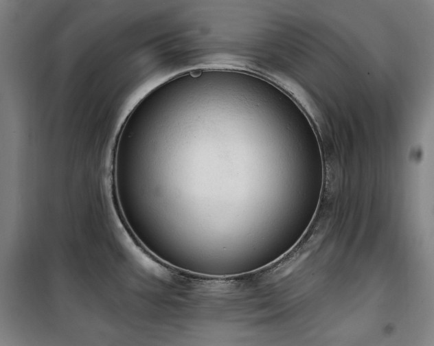 X0000100331387200806051524