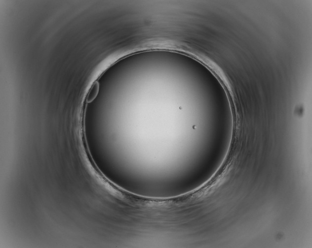 X0000100331389200806051524