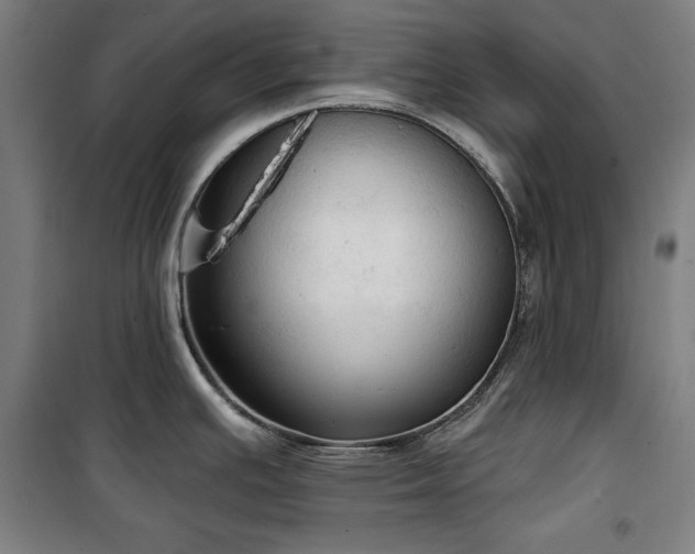 X0000100331391200806051524