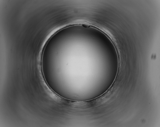 X0000100331392200806051524