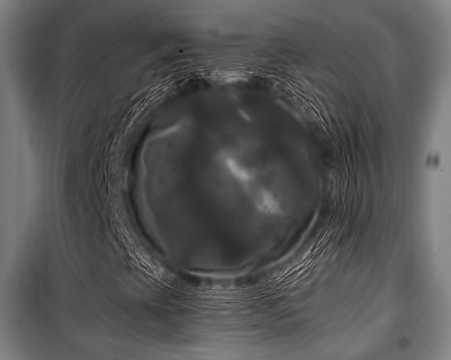 X0000100331393200806051523