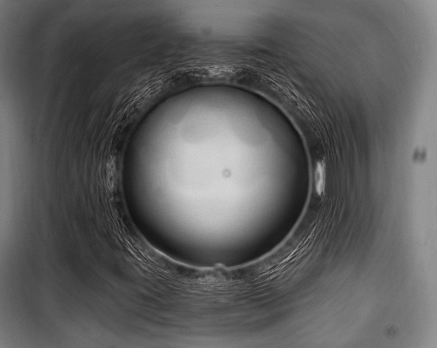 X0000100331395200806051523