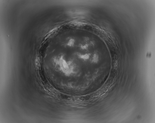 X0000100331397200806051523